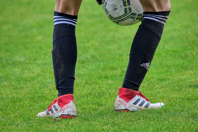 不仅是骑士 不仅是骑士